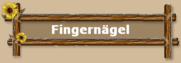 Fingerngel