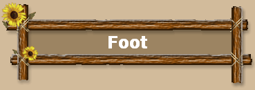 Foot