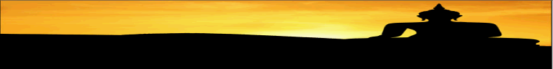 wildnails banner